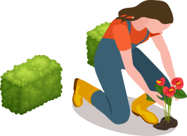 girl planting and bush icon
